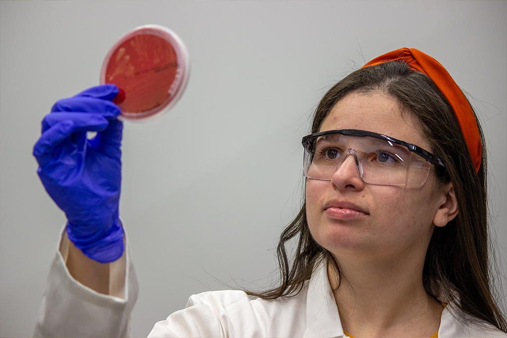 Microbiology student doing research in lab 