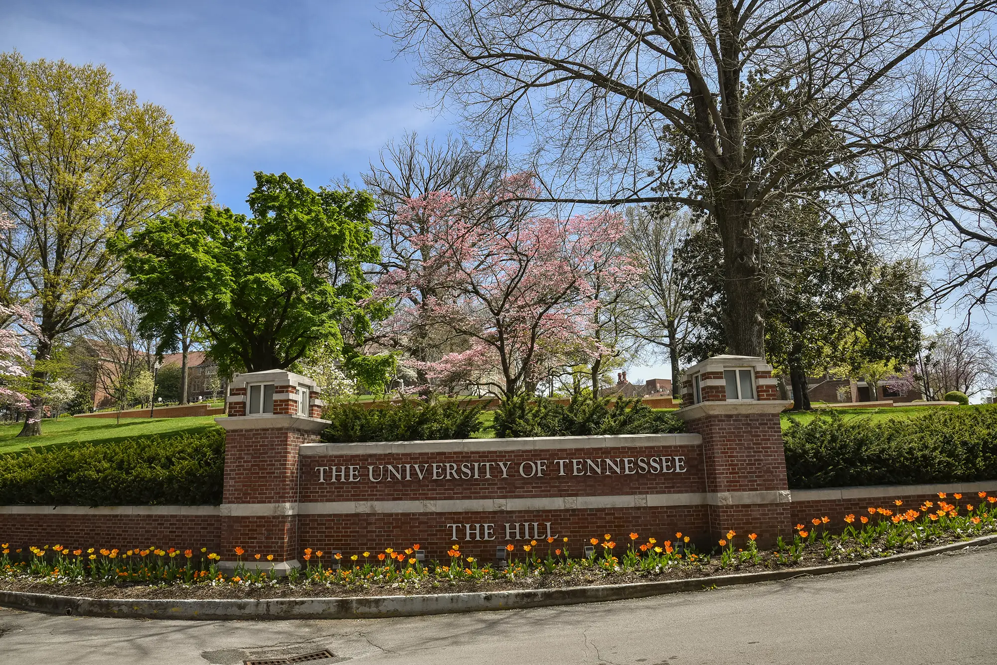 Photo of a short brick wall reading The University of Tennessee: The Hill